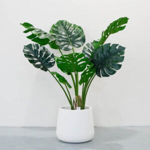 Image 23: Faux Plants